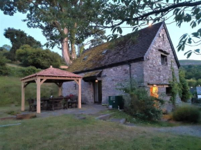 2 Bed in Crickhowell 42920